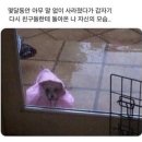 연극 선녀씨 이야기 | Summer diary