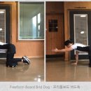 브레싱 이미지