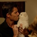 위드퍼피 이미지