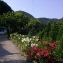 학계농장 이미지