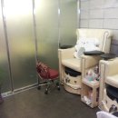 네일하는 강아지 이미지