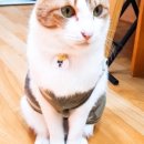 별이랑 놀자 이미지