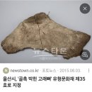 동양산업 | 울산박물관 관람후기 리모델링한 &#39;산업사실&#39; 보고왔습니다 :D