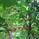 김밥학교 이미지