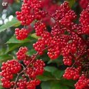 황산농장 이미지