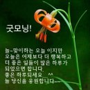 ☆ ' 나 ' 하고 싶은대로 ~ 이미지