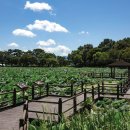 정촌면-8 이미지