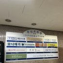 누워서 편안하게 하는 다이어트는 일산테라피 ‘에소코핏 주엽점’ 에서