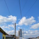 창꼬913