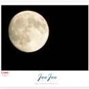 달빛자락 이미지