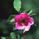 영당구클럽 이미지