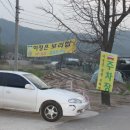 엄마손보리밥 이미지