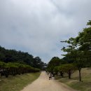 [속초 여행 3탄] 평일 당일치기 11시간의 행복! 영랑호 스타벅스 뷰맛집부터 중앙시장 핫플 투어