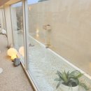 스테이상아 이미지