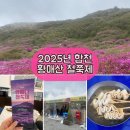 2025년 합천 황매산 철쭉 축제 개화 상황, 주차 등