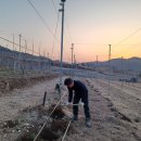 재식농장 이미지