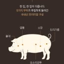 선산호텔 | 대전 돼지곱창 전문 맛나지예 선산곱창 전메뉴 솔직 후기 (유성온천역 술집)