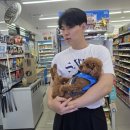 지에스(GS)25평택동문가점 이미지