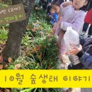 행복숲어린이집 이미지