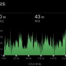 미나토 | [해외] 2024 도쿄 미나토시티 하프마라톤 후기 (Minato City Half Marathon 2024)🗼