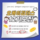 오케이법률사무소 이미지