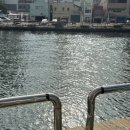 아몬드호텔(남포동) | 부산 영도여행 로스터리카페 바우노바 | 일찍 문여는 남포동카페 | 네이버 별점 4.96점에 빛나는