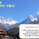 다인투어여행사 이미지