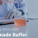 다인바이오 주식회사 이미지