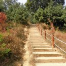 늠내길3코스 옛길 이미지