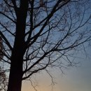 아산시신정호관리사무소 이미지