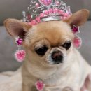 (주)이지존 | Sorry파이