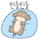 멍줍강아지산책유치원 이미지