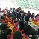 창평중학교 이미지