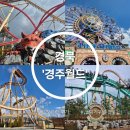 킹콩놀이샵 | 월드 3월 비수기 평일 비오는날 오픈런 후기 내돈내산 | 먹거리, 맛집, 기념품샵, 놀이기구 공강러 할인