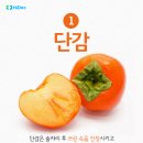 과일채소 이미지