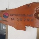 오리엔탈항공여행사 이미지