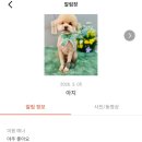 멍티스트 네이버블로그
