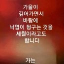 연신유도체육관 이미지