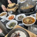 신비의소나무 앞 이미지