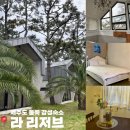 제주독채펜션 라리저브 감성펜션 이미지