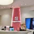 피부관리사 | 피부미용 입문자가 직접 다녀본 서현피부관리사학원 후기✨