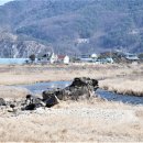 무릉도원면사무소 이미지