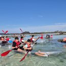 안의초등학교 이미지