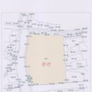 영통로174번길 이미지