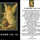 (주)수호천사 이미지