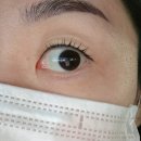 (경남 양산) 양산 속눈썹 펌 잘 하는 곳 추천- 윤아트브로우 후기, 주차, 펌 종류