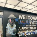 제주 여행 지원금 탐나는전 받기 제주도 렌트카 추천 조이렌트카 후기