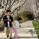 율곡천 4 이미지