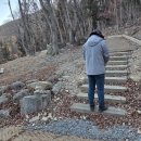 치유의숲 진입도로 이미지