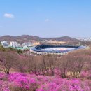 [25년4월5일 방문]부천 원미산 진달래축제 실시간 개화, 포토존 위치 주차 / 서울 인천 근교 봄나들이...